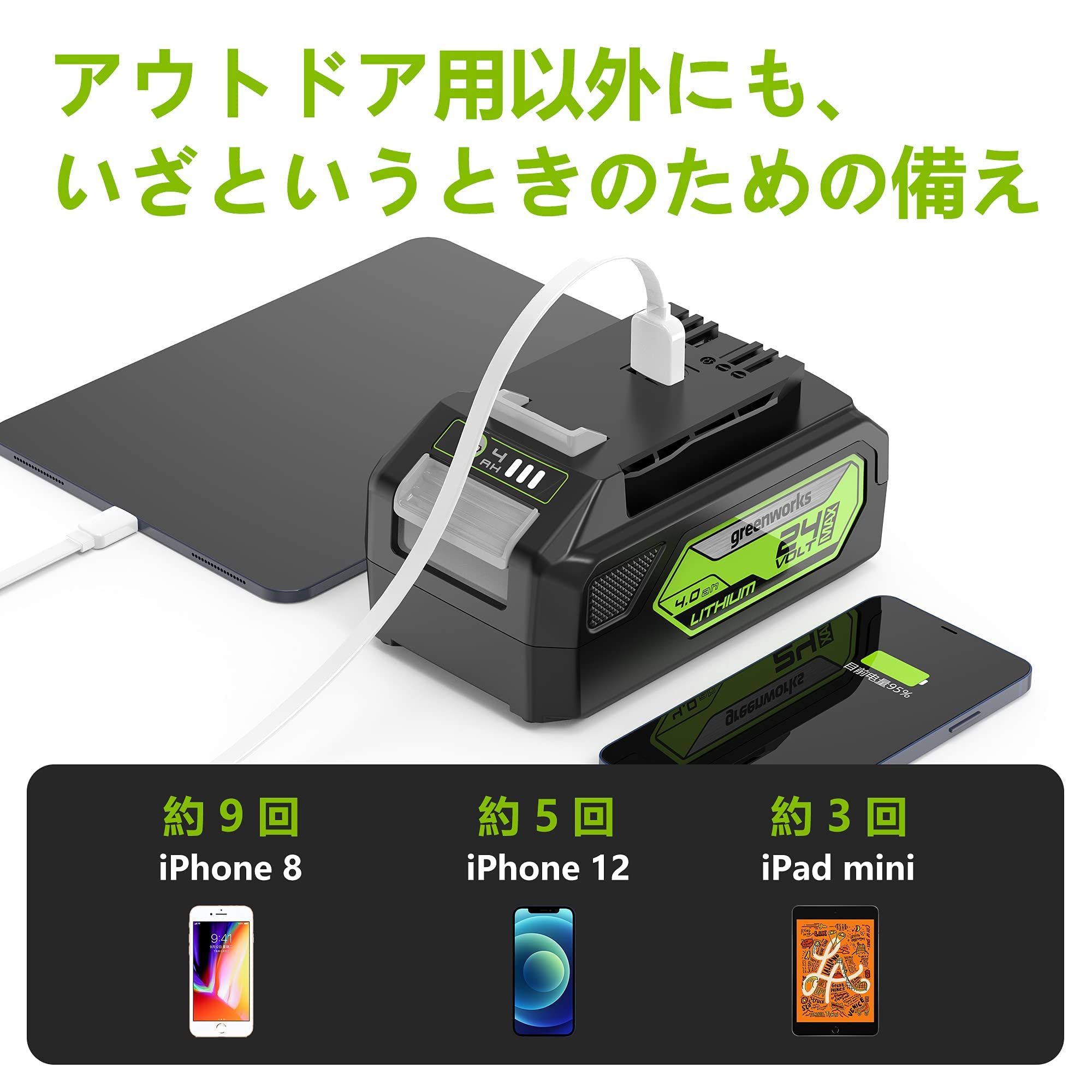 Amazon.co.jp: Greenworks(グリーンワークス) 24Vシリーズ交換用